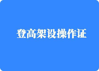 爽,快插小穴小视频登高架设操作证